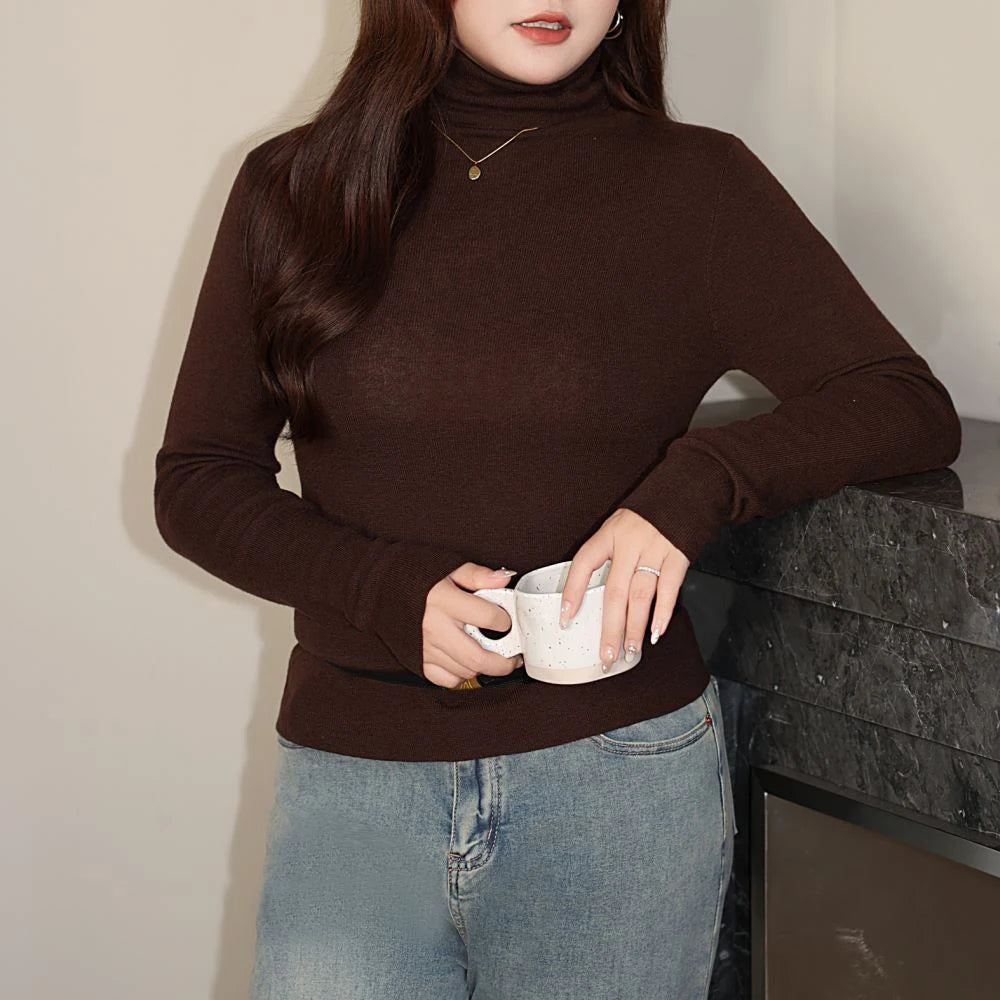 Plus Size Women's Sweaters Premium Fine-needle Turtleneck Knit Basic Jumpers Commuter Slim Pullovers Autumn Winter 2025